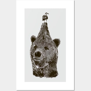 Bear Posters and Art